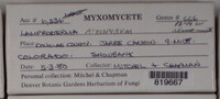 Image Associated With the Occurence